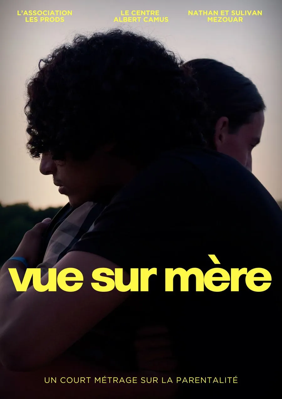 Affiche du court-métrage Vue sur mère